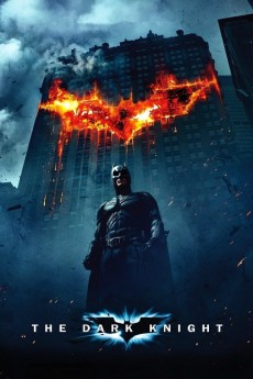 Batman : The Dark Knight